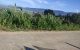 thum-8736279_dkC2TGBK9h_1657467673.jpg