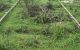 thum-m_8ZElWcn3mz_1657512145.jpg