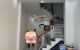 thum-m_ZM3bVXyQpn_1657547605.jpg