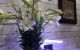 thum-8739793_2pRiOFNrXd_1657594566.jpg