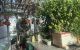 thum-m_YAqv8wjZou_1657583824.jpg