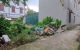 thum-8744422_xGdrIemqfP_1657769233.jpg