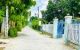 thum-8745158_XLmsC0A5Wd_1657786486.jpg