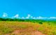 thum-8745326_xeSZjXT2Cp_1657789855.jpeg