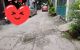 thum-8745424_jIFHMu8hyL_1657793357.jpg