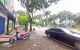 thum-8745574_3L7cjoptIF_1657811990.jpg