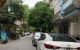thum-m_oBwcYZNTq3_1657810831.jpg