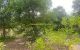thum-8746211_vX16IKwSUE_1657848682.jpeg