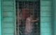 thum-8747533_1GHC6IYaBq_1657897705.jpeg