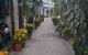 thum-m_8Z4jXTW1BV_1657859605.jpg