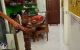 thum-8748993_aBO6HiRyX5_1657970176.jpg