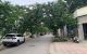 thum-m_ZgbQTy26AG_1657938346.jpg