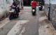 thum-8750177_v1eDVma4oN_1658042778.jpg