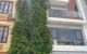 thum-8750353_zXehJp4GOq_1658067507.jpg