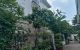thum-8750426_mXN4RvpHk9_1658071056.jpeg