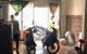 thum-m_monLseCpva_1658122148.jpg