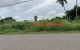 thum-8754426_5gTOIZ70Mb_1658212201.jpg
