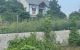 thum-8754791_fahpsyTSrK_1658219750.jpg