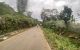 thum-m_GicNT351wb_1658225204.jpg