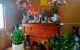 thum-8756504_tCrXDc0ymW_1658287837.jpg