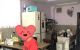 thum-8757064_7FwiOPUXLB_1658305060.jpg