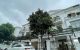 thum-m_DST38MfncR_1658291606.jpg