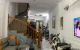 thum-m_jIBKCuVegE_1658310330.jpg