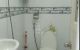 thum-8758230_I6qSYAbm1l_1658365449.jpg