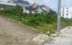 thum-8759403_quABbINpiZ_1658394512.jpg