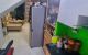 thum-m_V75lscOaxr_1658404885.jpg