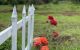 thum-8761045_NcxyLrG81X_1658476639.jpg
