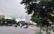 thum-8761959_rKnQibGWZB_1658482949.jpg