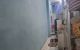 thum-8762020_vSzIfHUQL3_1658490785.jpg