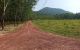 thum-8766891_WnKCU6DXhl_1658721825.jpg
