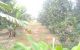 thum-8767129_7rGCM9dWSe_1658732928.jpg
