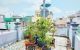 thum-8767634_Bou2hW5mSt_1658763715.jpg