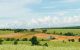 thum-m_cbzBI1rfu2_1658719516.jpg
