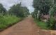 thum-m_qnlaUmpcBd_1658805184.jpg