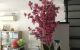thum-m_7qKmaQNBFx_1658901742.jpg