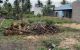 thum-m_DsCiJkqEtN_1658906526.jpg