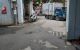 thum-m_suHUxkeWAS_1658904853.jpg