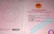 thum-8772718_siFbUcJaY3_1658966632.jpg