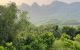 thum-8772774_DWXdLzQvY0_1658970377.jpg