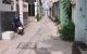 thum-8772974_SXehjPAp0V_1658974864.jpeg