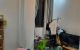 thum-8773782_pR2lu8hoeg_1658997004.jpg