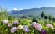 thum-m_DYZSGrxn9y_1659005385.jpg