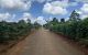 thum-m_Xy6OlAzwER_1658981997.jpg