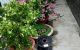 thum-8775246_gQxBfUzWEd_1659063375.jpeg