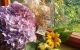 thum-m_FXNEzha5GS_1659054450.jpg