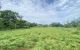thum-m_hZa36csjCR_1659108678.jpg